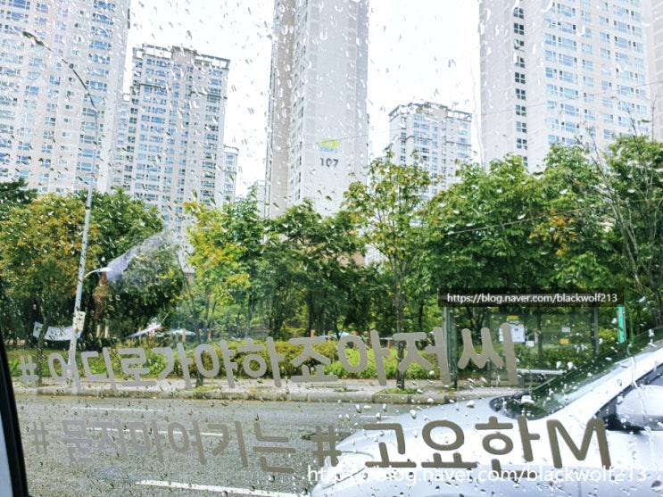  고요한 모빌리티(고요한M) 후기 - 청각장애인 기사님께서 운전해주시는 택시!!