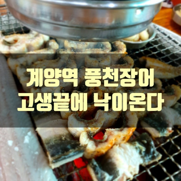 인천 계양역 "풍천장어"