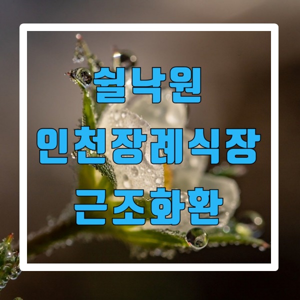  쉴낙원인천장례식장  근조화환 계양구 근처 꽃배달