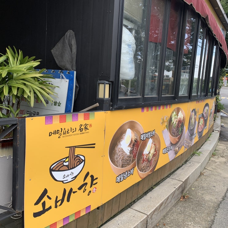 창원 진해 깔끔한 소바맛집 웅동 소바향 창원 진해 깔끔한 소바맛집 웅동 소바향