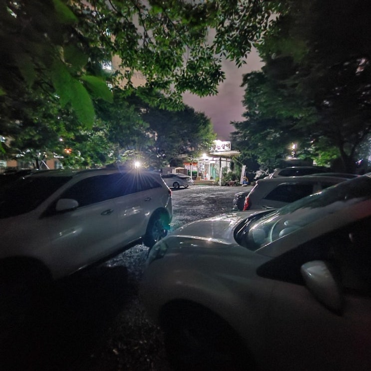  대구 장어 맛집 선운산풍천장어