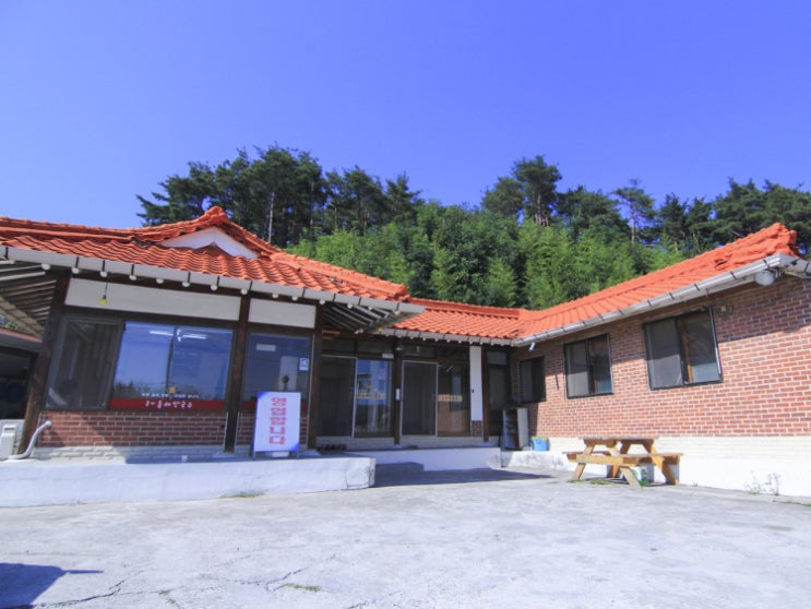  [][막국수] 본가동해막국수