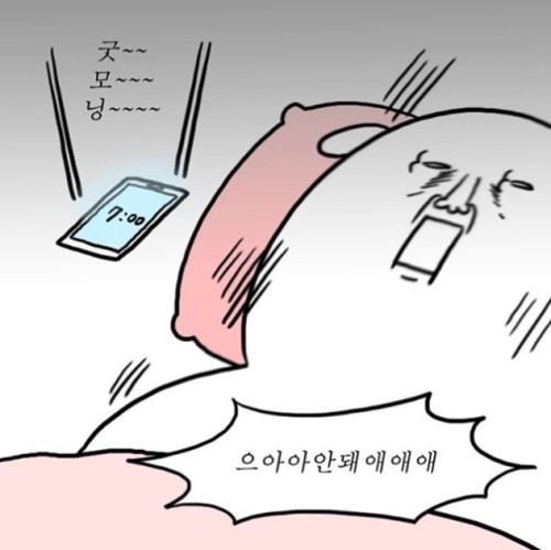  지각 머피의법칙 머피의지각 ?