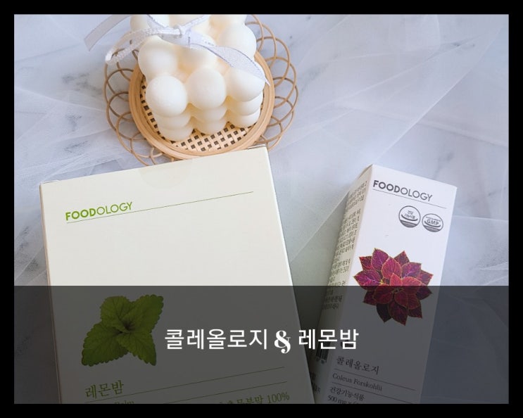 푸드올로지 콜레올로지와 레몬밤 으로 건강한 몸매관리 시작! 푸드올로지 콜레올로지와 레몬밤 으로 건강한 몸매관리 시작!