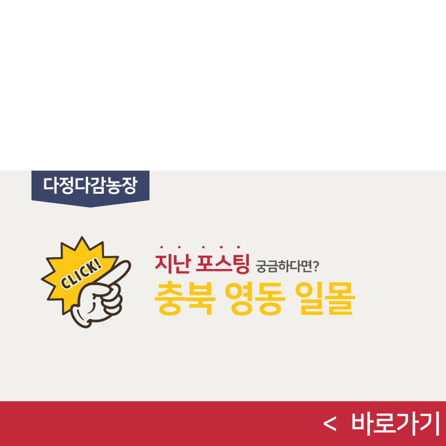 네일박스 사진 6
