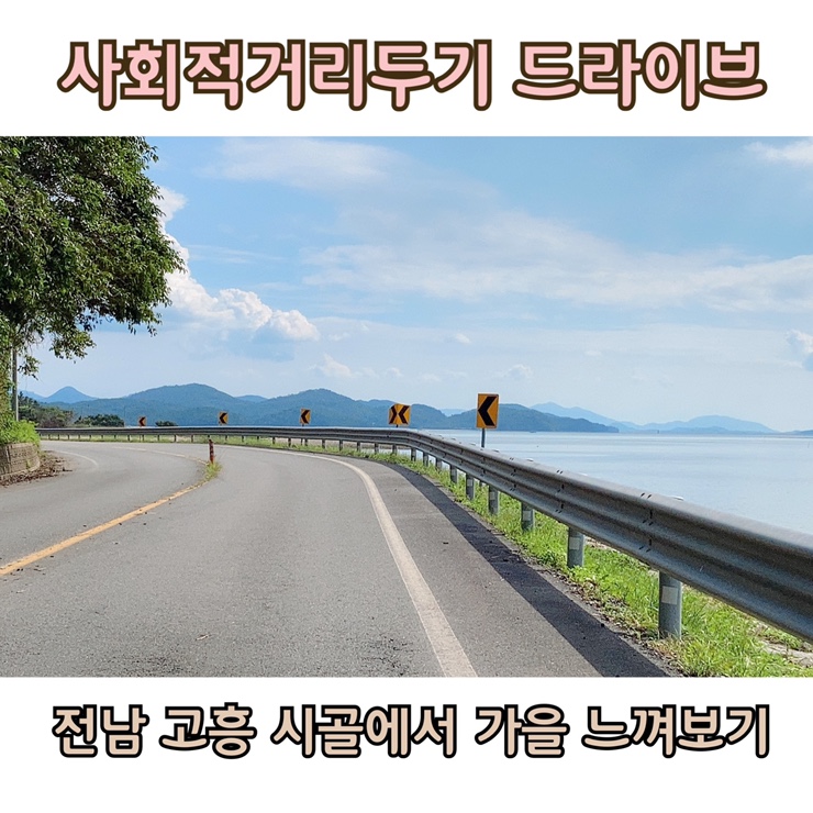  전남 고흥 사회적거리두기로 아이와 함께 드라이브하고 왔어요