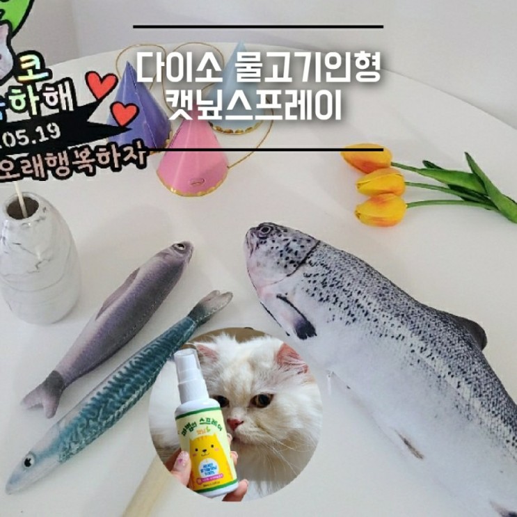 고양이장난감] 다이소 물고기인형_ 캣닢스프레이