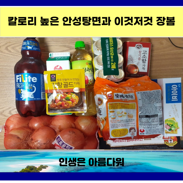  칼로리 높은 안성탕면과 이것저것 장봐옴
