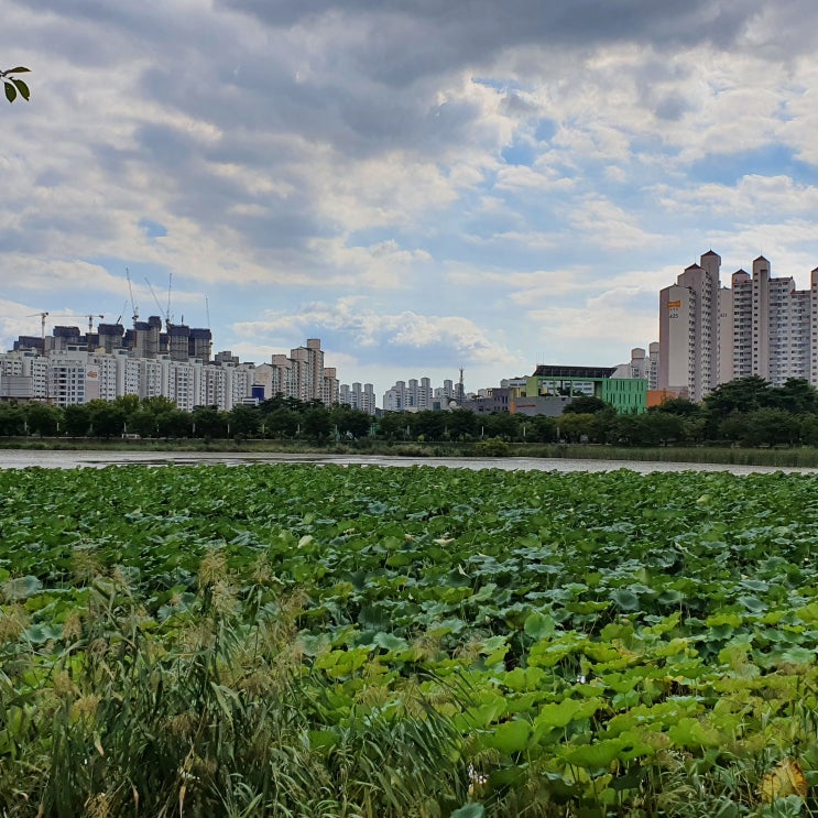  만석 공원