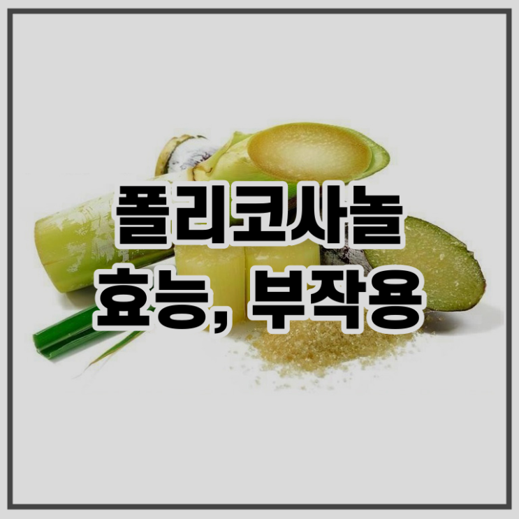  쿠바산 폴리코사놀 효능, 복용법, 부작용 확인하셨나요?
