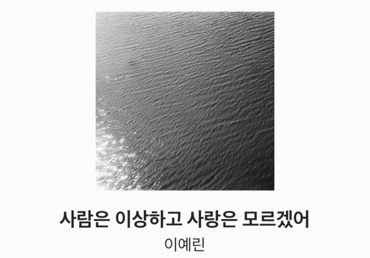 갤러리 랜덤 이것저것과 트위터