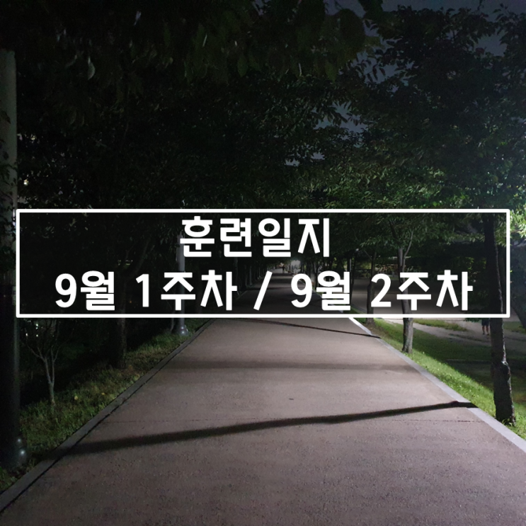  [2020년 9월 1주차 / 2주차] - 마라톤 훈련 일지