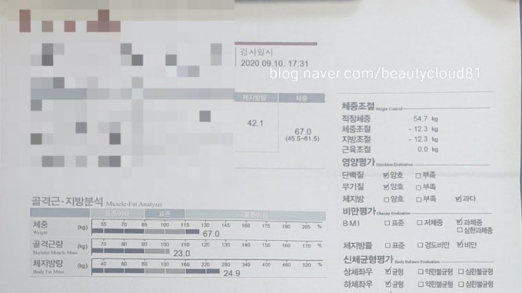  다이어트 결심을 소리쳐본다(인바디 공개, 마지막야식, 금주약속)