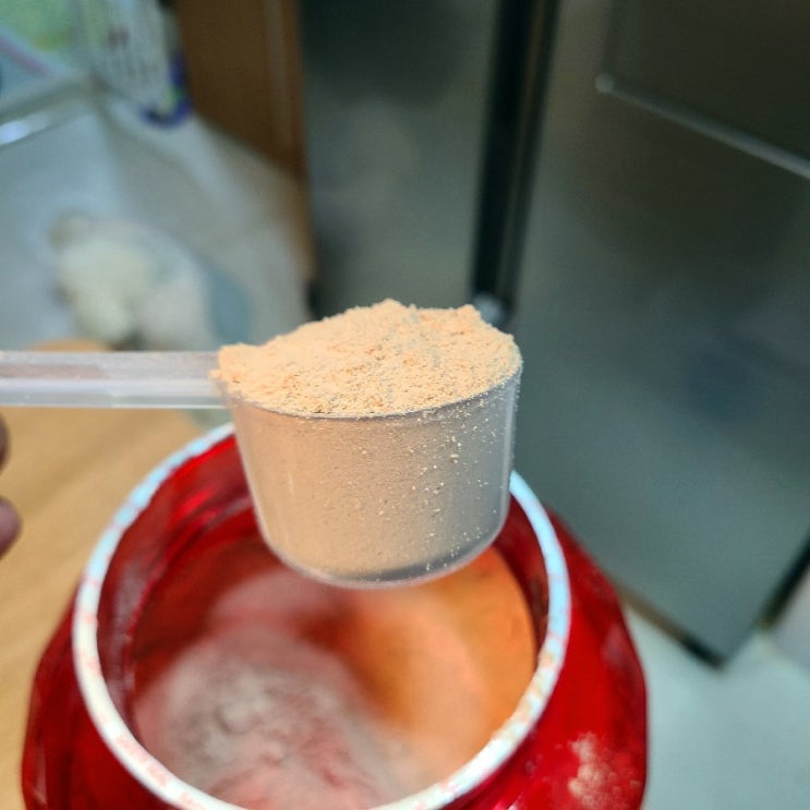  다이어트 프로틴 추천 짐승용량에 맛까지 퍼펙트 (10%할인받는 팁)