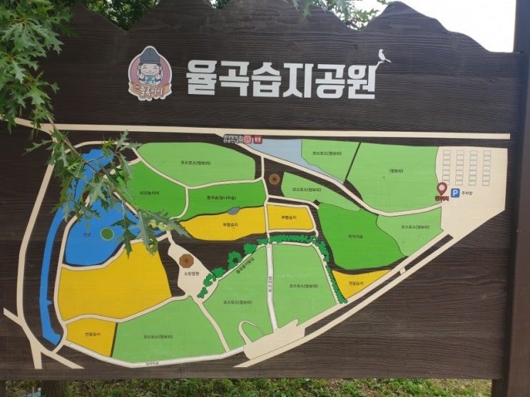  파주 율곡습지공원 피크닉