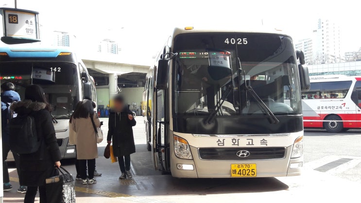  삼화고속 서울경부금산 New premium universe express noble (+2020년 금산인삼축제 온라인 개최)