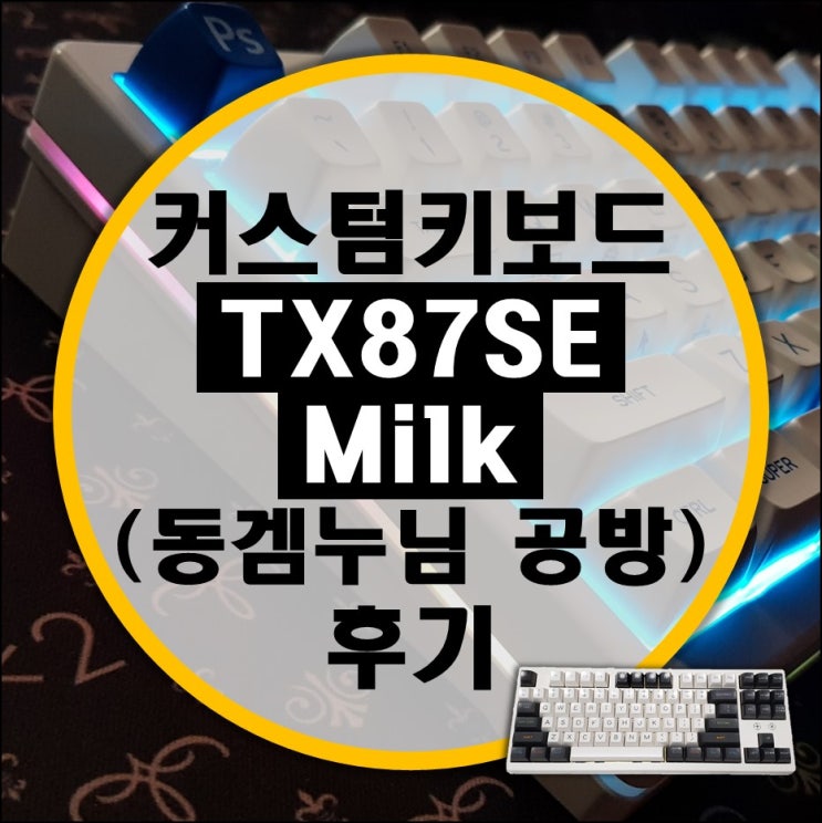 커스텀 키보드 TX87se Milk (밀크) 후기 (동겜누님 공방)