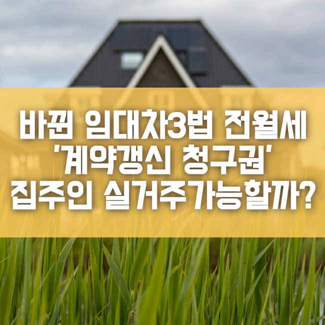  임대차3법 전세 월세 사례 집주인 실거주 가능할까요?