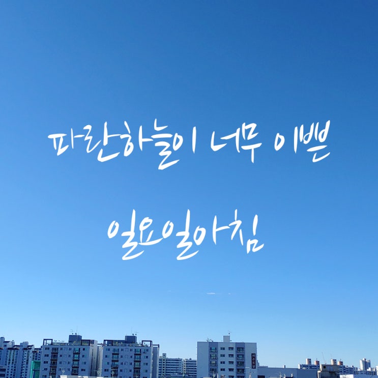  일요일 아침 파란하늘 너무 이쁘네요.