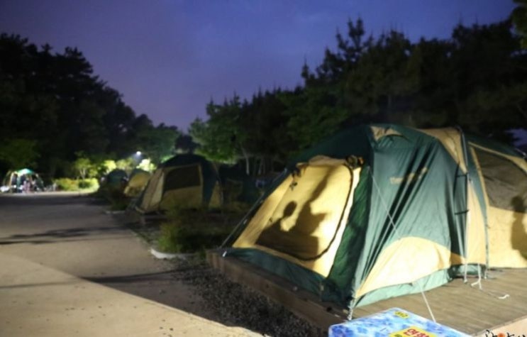 [보험 인싸되기] 너도나도 '캠핑·차박'…보험 모르면 손해본다