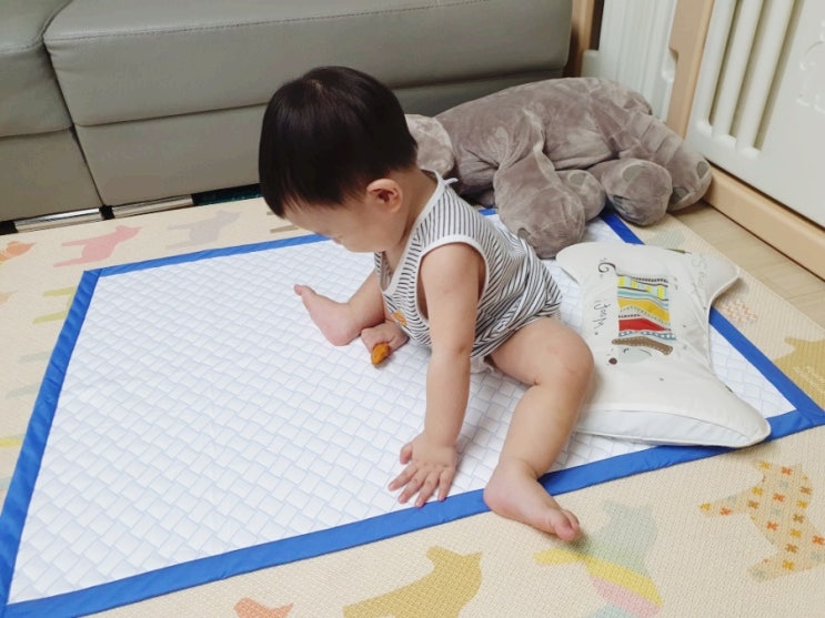  태열 필수템 웨치바이오 매트