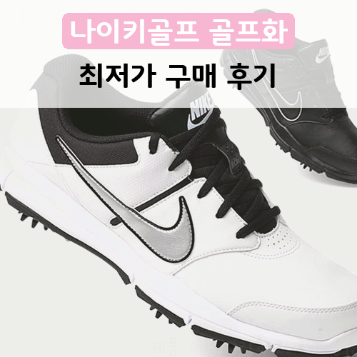  가성비 갓 골프화 나이키골프 듀라스포츠4 골프화 844551 강추해요!