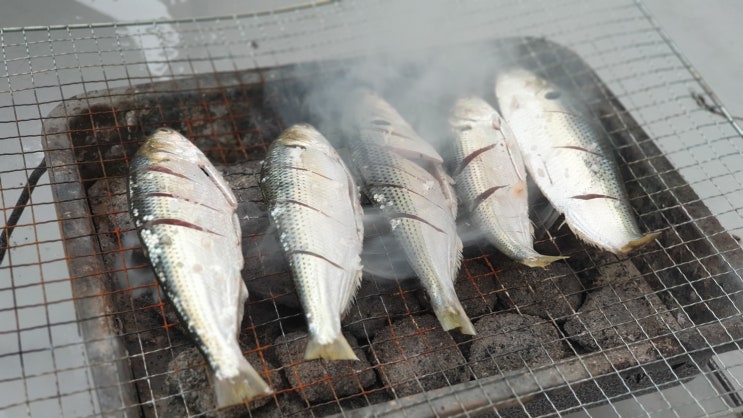 제철 맞은 가을 전어 / 김포 대명항 수산시장 / 집 나간 며느리도 돌아온다는 가을 전어 맛보기