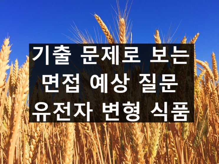  대학 면접 기출, 예상 질문 - 유전자 변형 식품 GMO