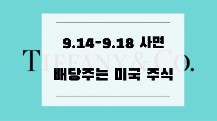  [미국주식] 9.14-9.18 사면 배당주는 미국 배당주, 9.13 기준 우량주/시총 순위