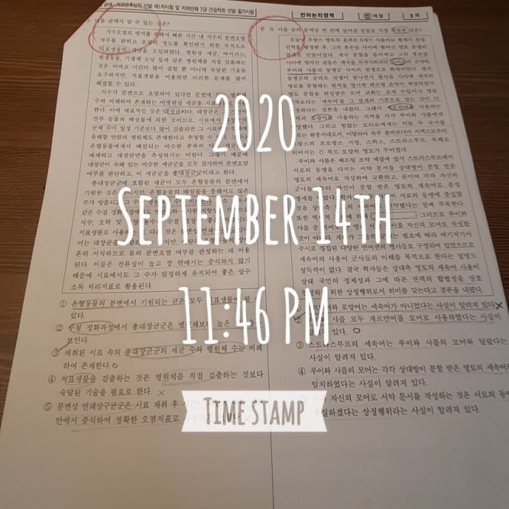  [코레일 필기] D-33