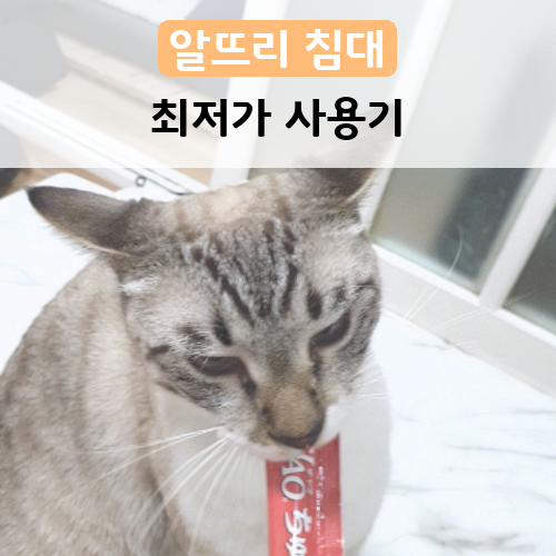  2020년 9월 14일 오후 9시 39분에 저장한 글입니다.