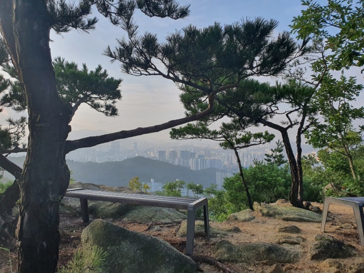  많은 선물을 주는 토요트렉 산행