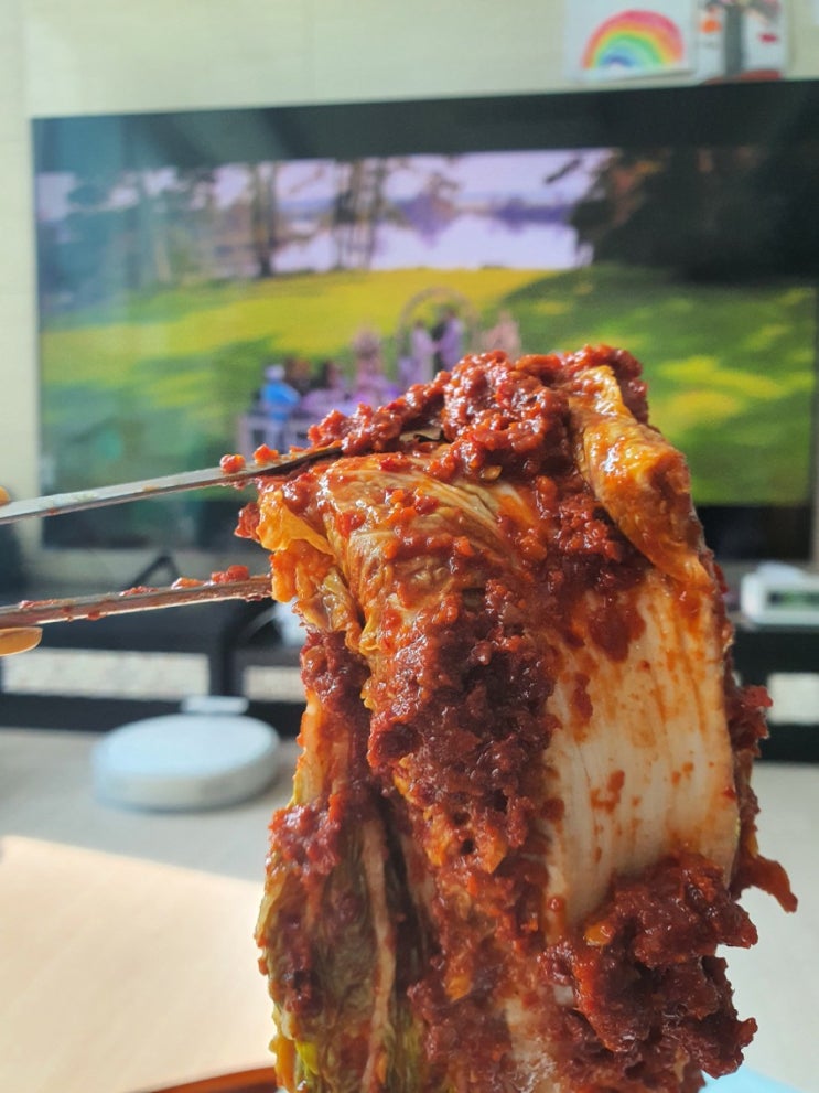  왠만한건 다먹는데, 이건 너무매워용대전실비김치