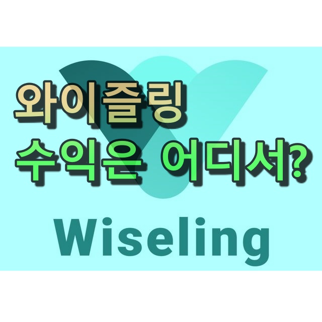  와이즐링 수익은 어디서 나오는건가?