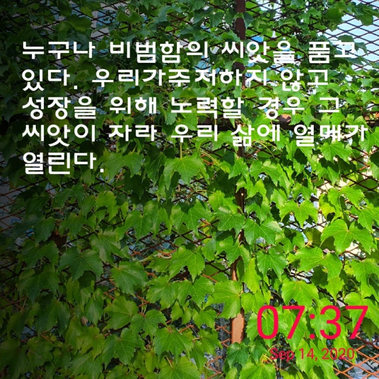  90일 낭독으로 시작하는 아침 긍정확언