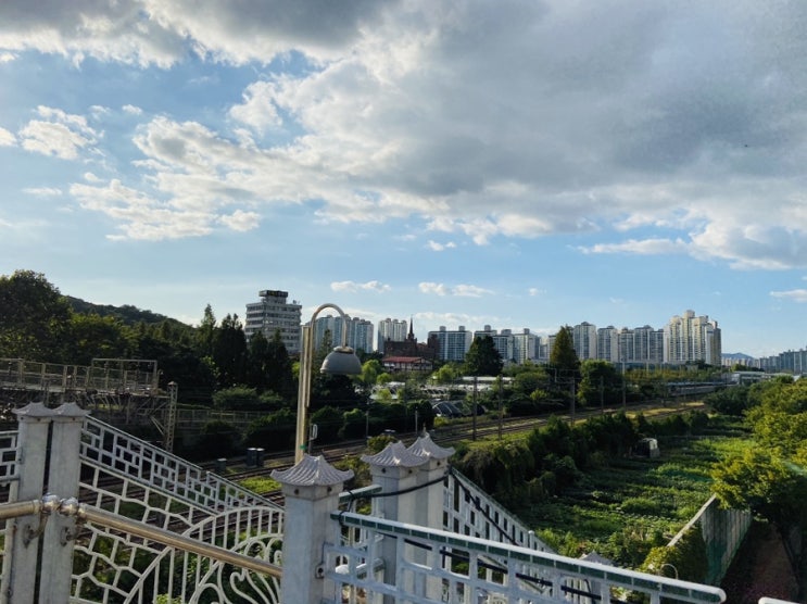  놀거리 많은 수원 화서역 카페 비아이빈 서호공원 산책