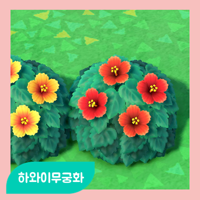  모동숲의 히비스커스는 '하와이무궁화'