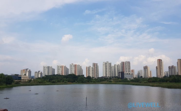  시원한풍경~