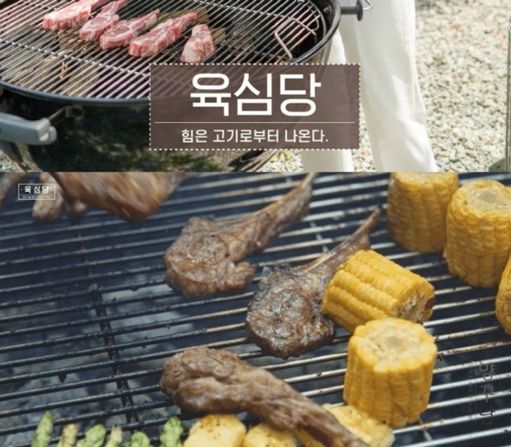  캠핑가서 만화고기 실화 가능 육심당 양고기!!!