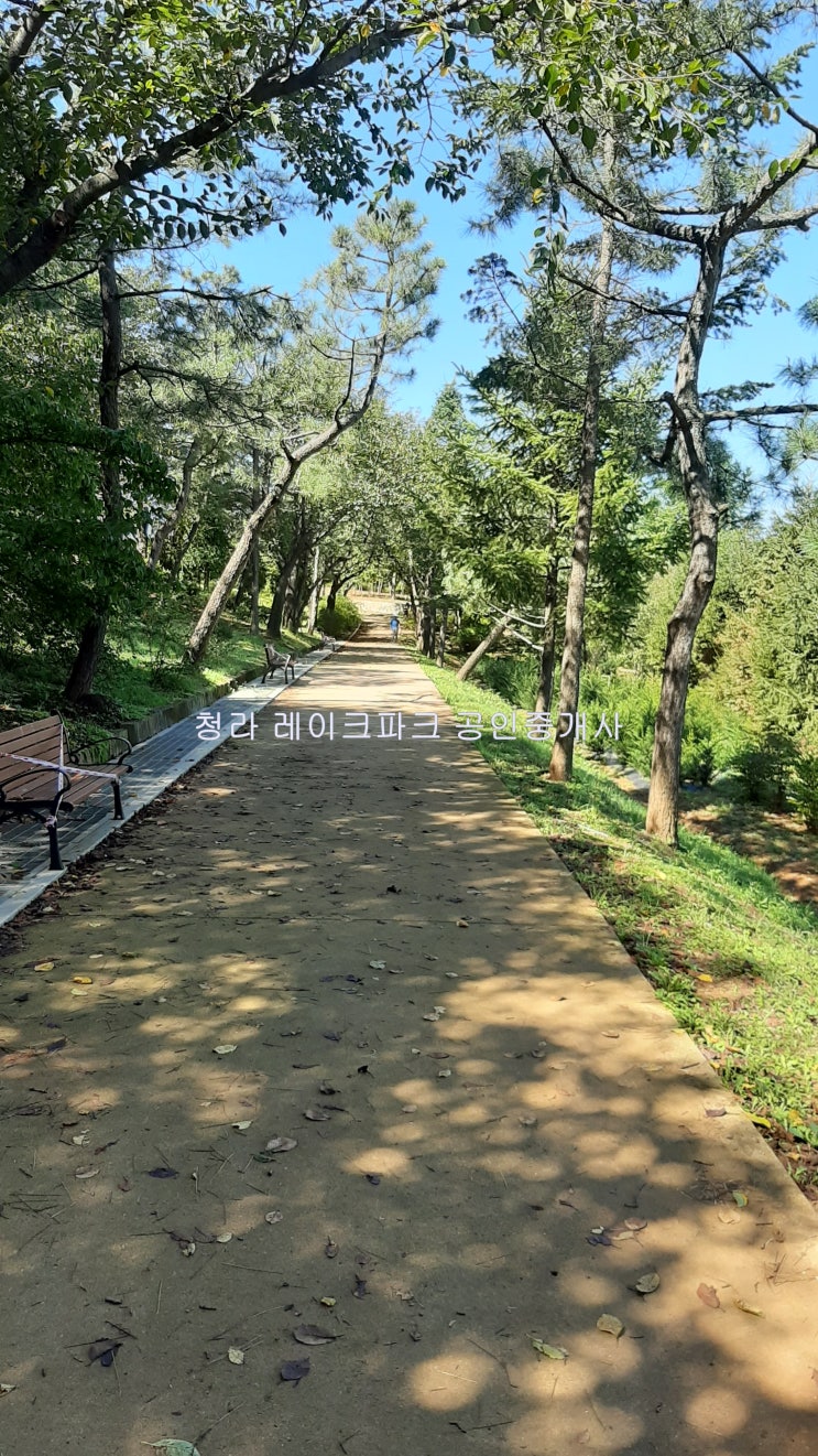  청라 산책길 추천 연희공원 에서 토끼 구경하기