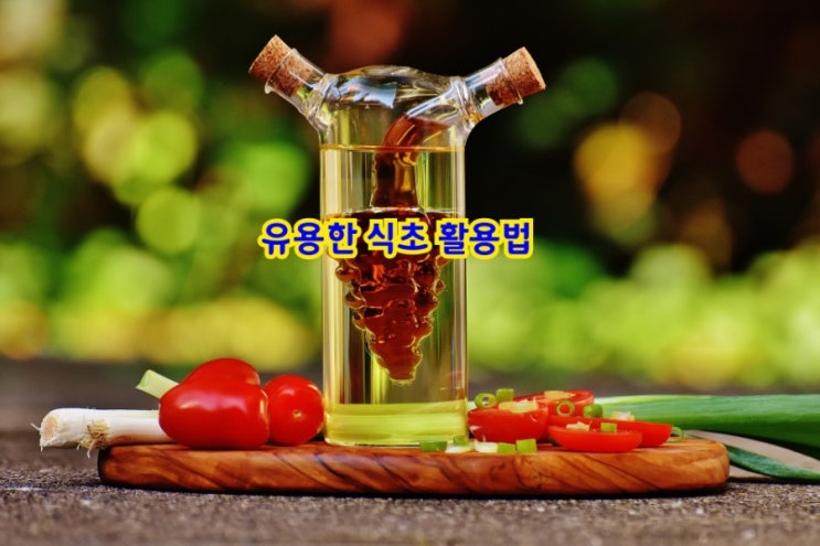 유용한 식초 활용법 유용한 식초 활용법