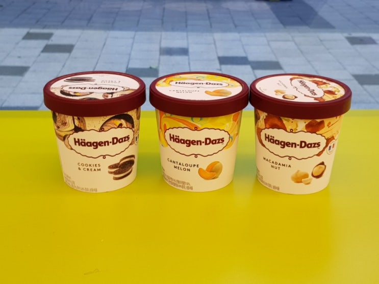  네고왕 하겐다즈 2+1