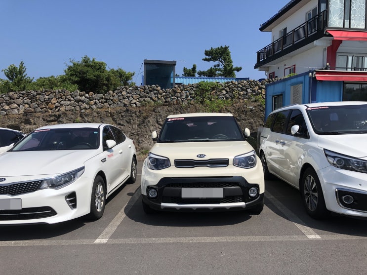  제주도 렌트카 찐으로 싼곳추천! 가격비교 끝판왕 제주카카
