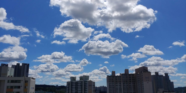  지난 주말의 파란 가을 하늘.