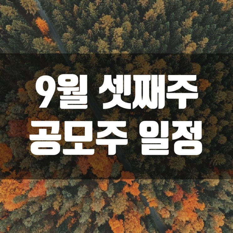  9월 셋째주 공모주 일정