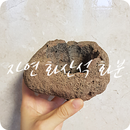  화분 이야기 #3 뭘 심을까? 자연 화산석 화분
