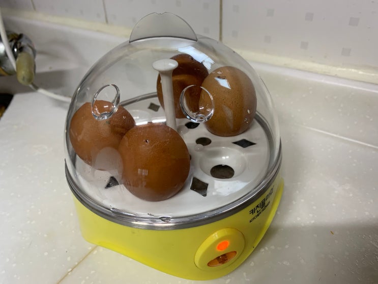 [생활용품] 계란 삶을 때 반숙이 좋아 구매해버린 계란 삶는 기계 : Egg Cooker (Feat. 당근 마켓 최초 거래)