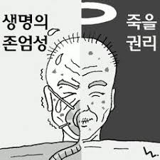 안락사토론자료 안락사정의종류 세계각국안락사 : 소극적적극적 존엄사