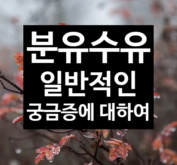  분유 수유에 대한 일반적인 궁금증