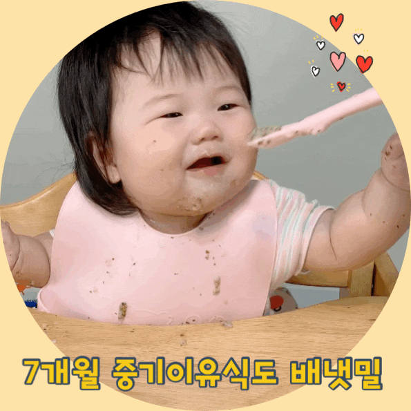  7개월 중기이유식 시작시기 배냇밀을 시판이유식추천하는 이유